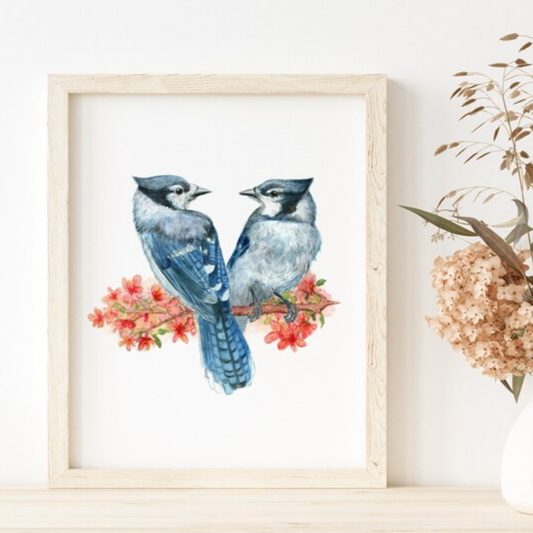 Bluejay Bird Print