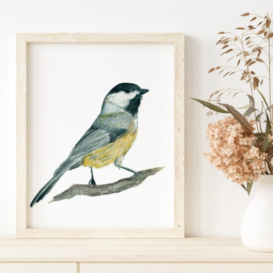 Chickadee Bird Art Print