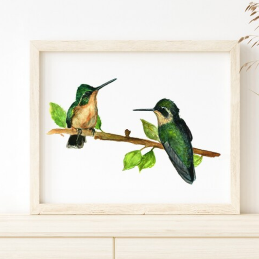 Hummingbirds Meet